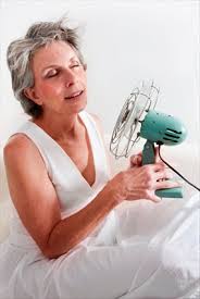 menopausa menopausa