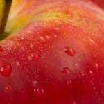 Acerola: la vitamina C naturale