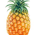 Ananas