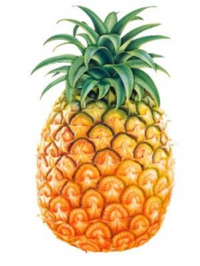 frutto dell'ananas